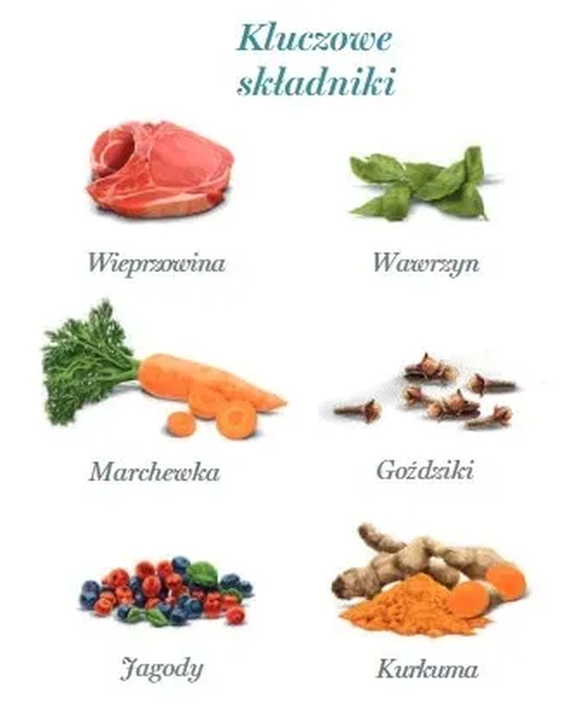 Karma mokra dla dorosłych psów - wieprzowina iberyjska - 100 g - obrazek 3