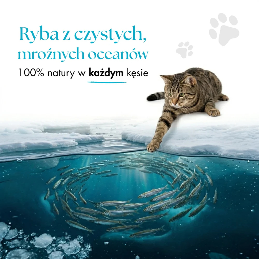 Kapelan - liofilizowana przekąska dla psów i kotów - obrazek 5
